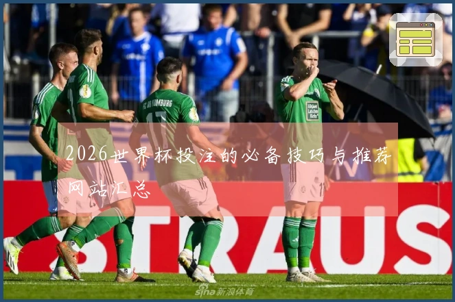 2026世界杯投注的必备技巧与推荐网站汇总