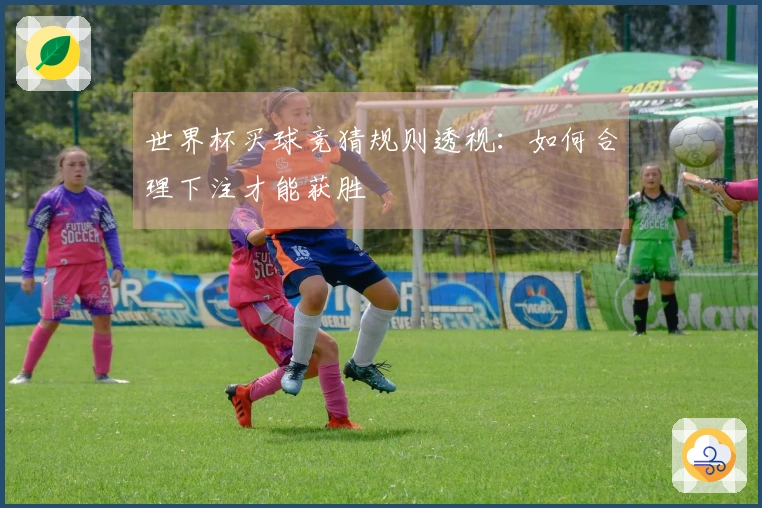 世界杯买球竞猜规则透视：如何合理下注才能获胜