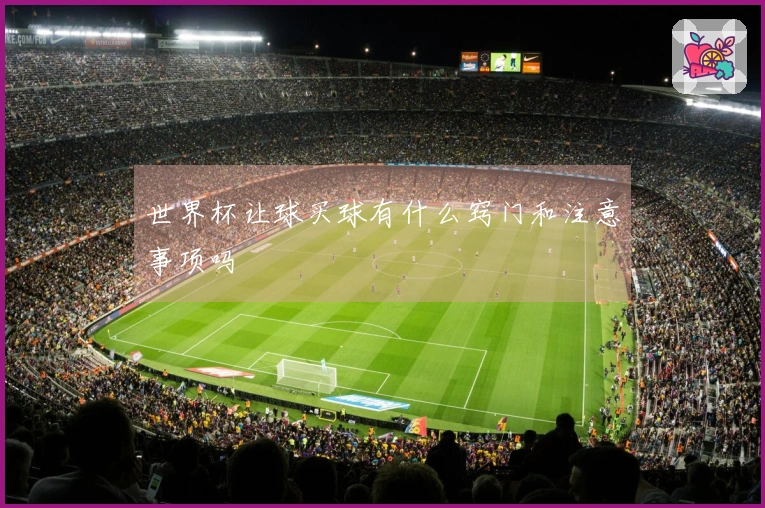 世界杯让球买球有什么窍门和注意事项吗