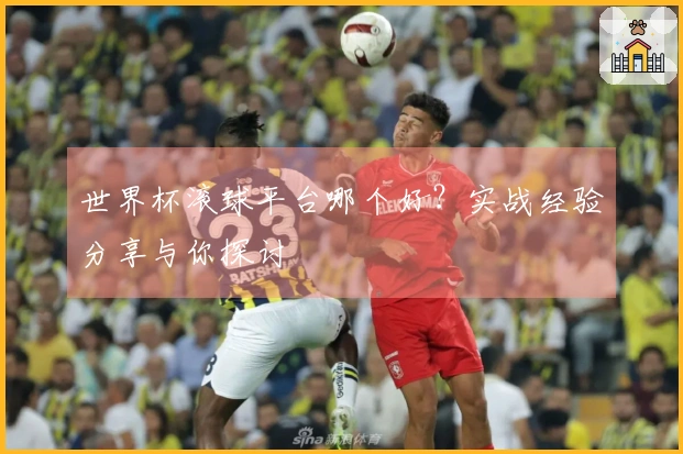 世界杯滚球平台哪个好？实战经验分享与你探讨