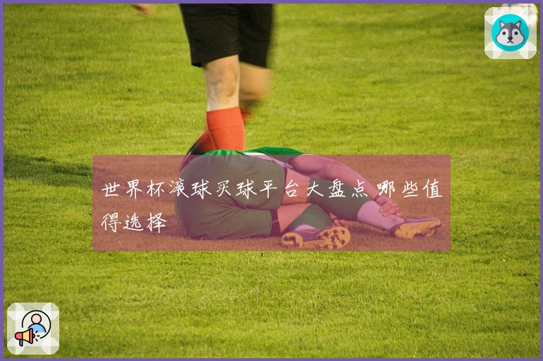 世界杯滚球买球平台大盘点 哪些值得选择