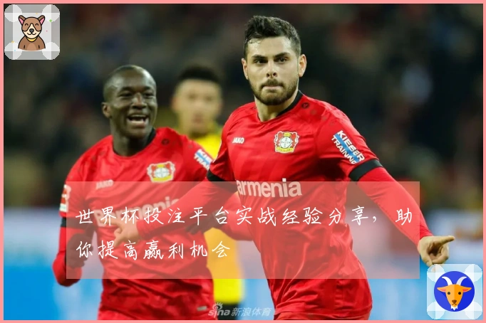 世界杯投注平台实战经验分享，助你提高赢利机会