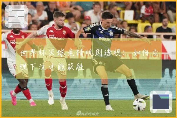 世界杯买球竞猜规则透视：如何合理下注才能获胜