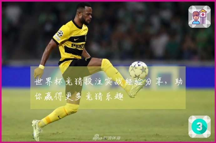 世界杯竞猜投注实战经验分享，助你赢得更多竞猜乐趣